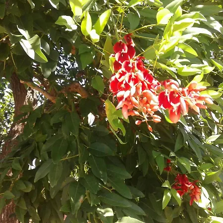 Nocleg ze śniadaniem Bell'aria