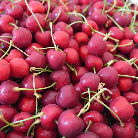 Bell'aria Nocleg ze śniadaniem Monopoli