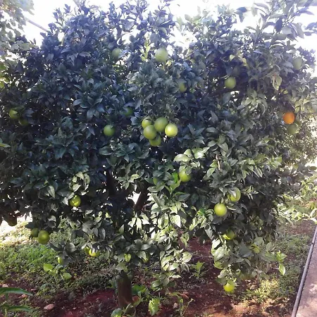 Bell'aria Nocleg ze śniadaniem 3*