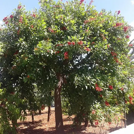 Bell'aria Nocleg ze śniadaniem 3*