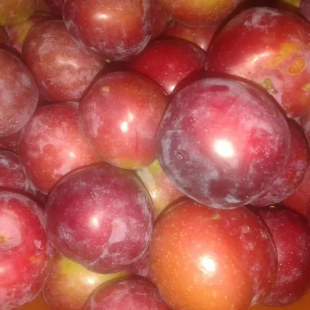 Bell'aria Bed & Breakfast 3*