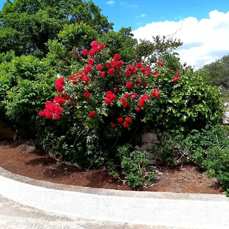 Bed & Breakfast Bell'aria 3*