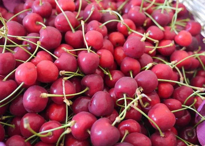 Bell'aria Bed & Breakfast Monopoli