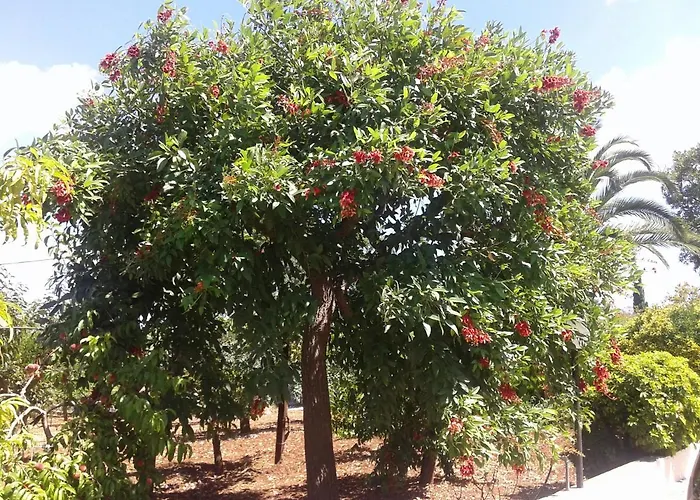 Bell'aria Bed & Breakfast 3*